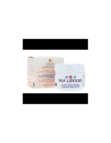 VEA LIPOGEL 1 ENVASE 50 ml